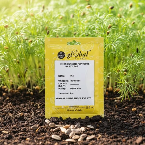 Dill Bouquet (Anethum graveolens)