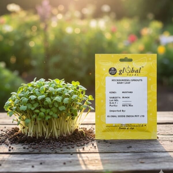 Mustard Black (Brassica juncea)