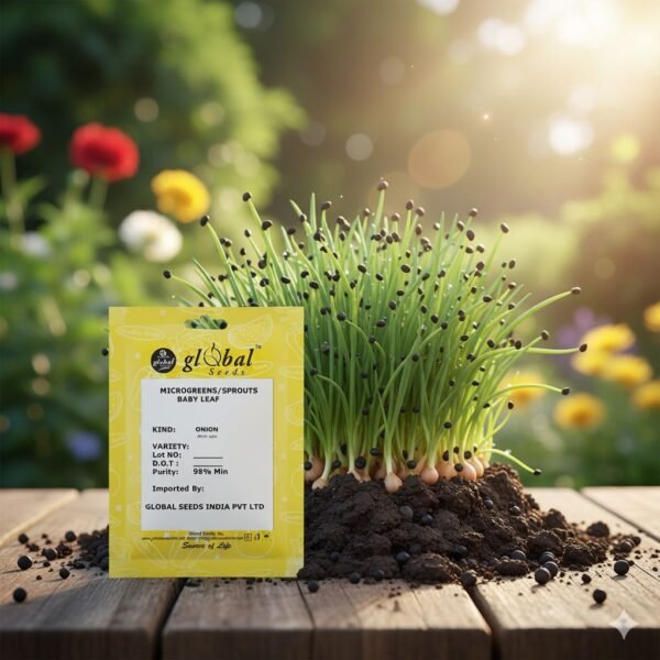 Onion (Allium Cepa) Seeds