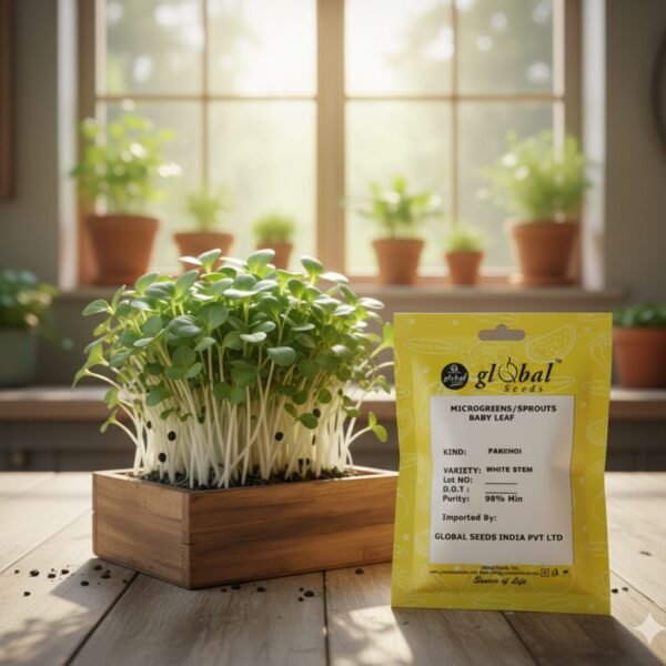 Pakchoi (Brassica campestris)