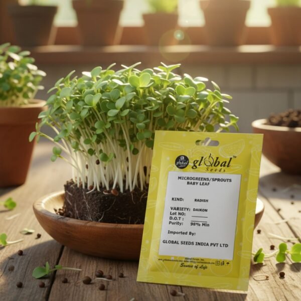 Radish Daikon Microgreens Seeds (Raphanus Sativus) – Premium Quality
