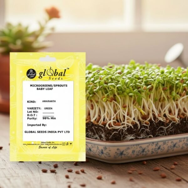 Amaranth Green – Nutritious & Fast-Growing Leafy Vegetable