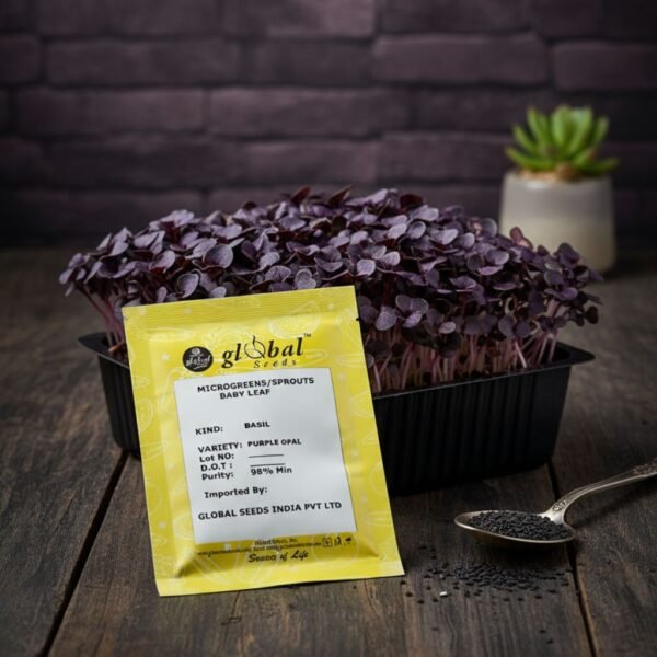 Basil Purple Opal – Ornamental & Flavorful Culinary Herb