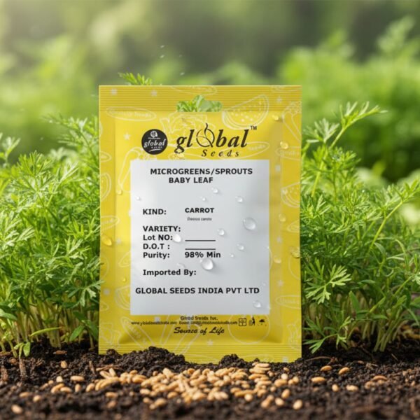 Carrot Microgreen
