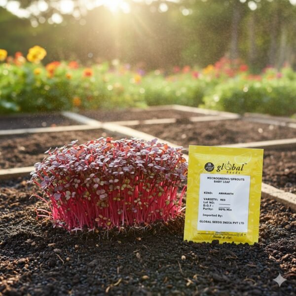 Red Amaranth – Nutritious & Easy-to-Grow Leafy Green