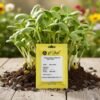 Sunflower Microgreens – Crunchy, Nutty & Super-Nutritious