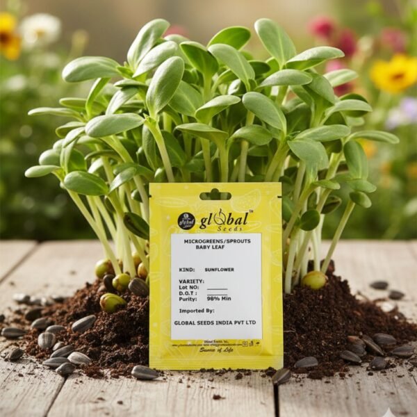 Sunflower Microgreens – Crunchy, Nutty & Super-Nutritious
