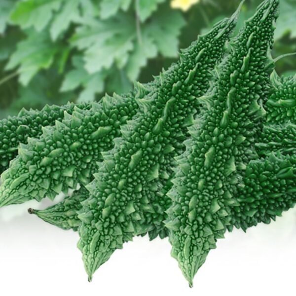 F-1 Hybrid Bitter Gourd – Kabir