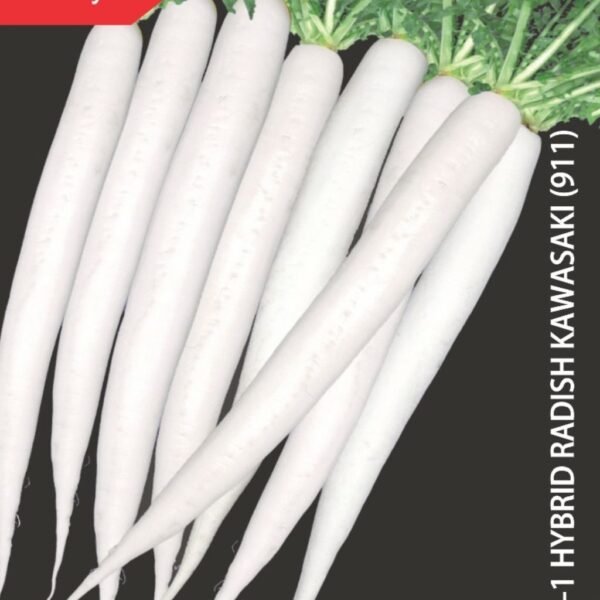 F-1 Hybrid Radish – Kawasaki