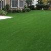Turf Grass Seed – Greencarpet
