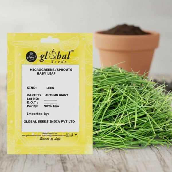 Leek – Autumn Giant